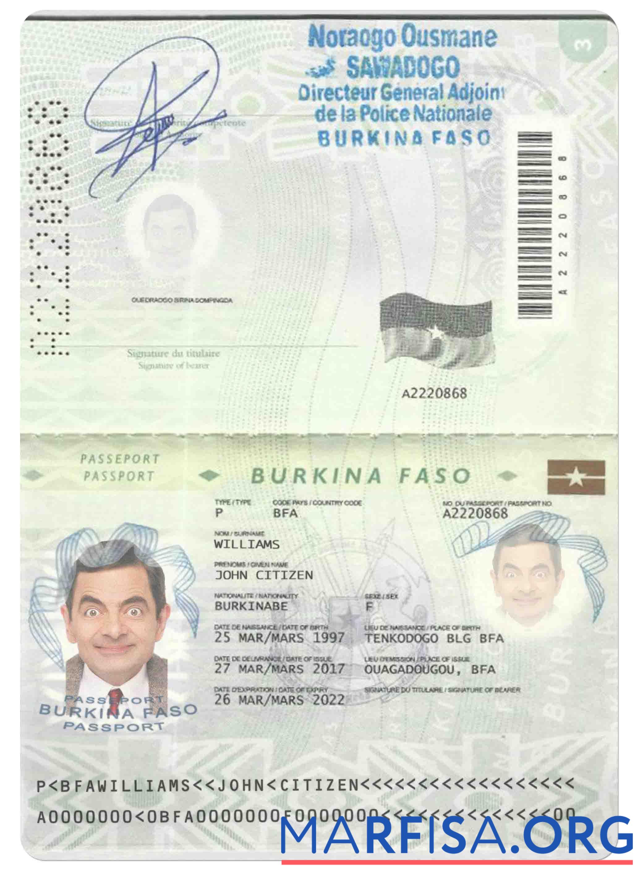 Blank Burkina Faso passport (2008 2018) download for verification